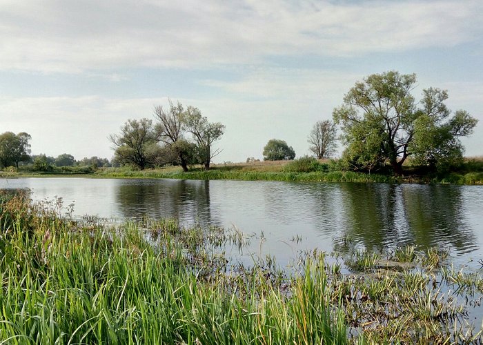 Річка Сейм на Чернігівщині