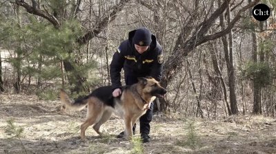 На тренуванні службових собак ДСНС у Чернігові