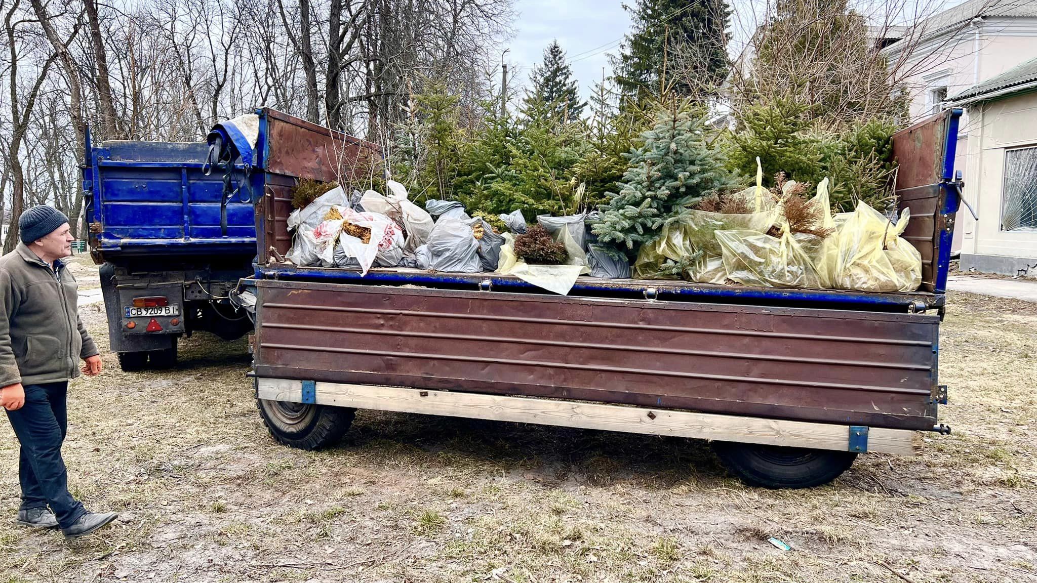 На Чернігівщині озеленюють громаду коштом благодійників. Остер 
