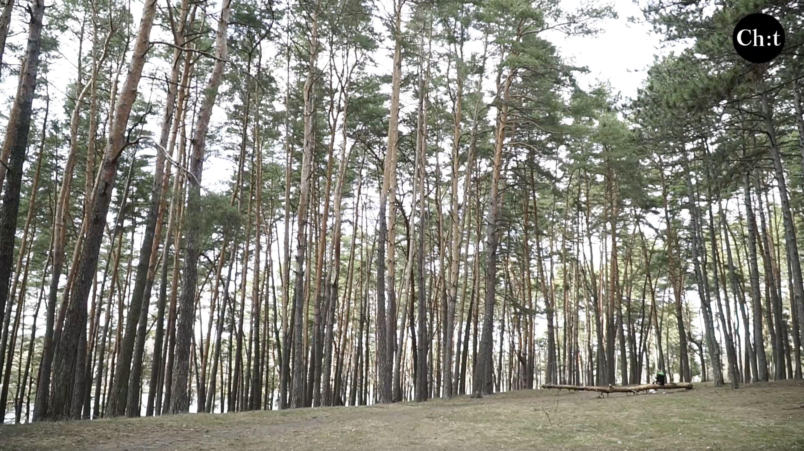 10 років створення лісопарку "Ялівщина": «легені міста» досі під загрозою