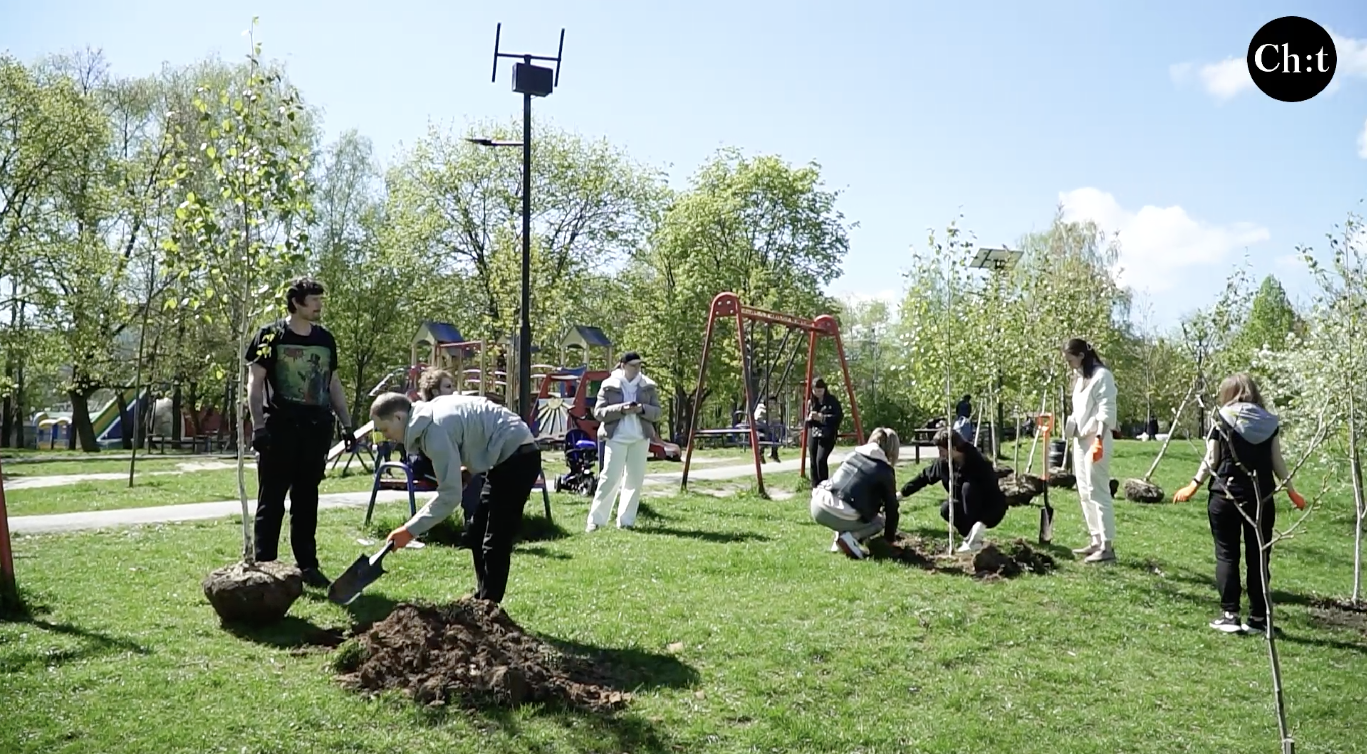 У Чернігові у місцевому парку висадили берези