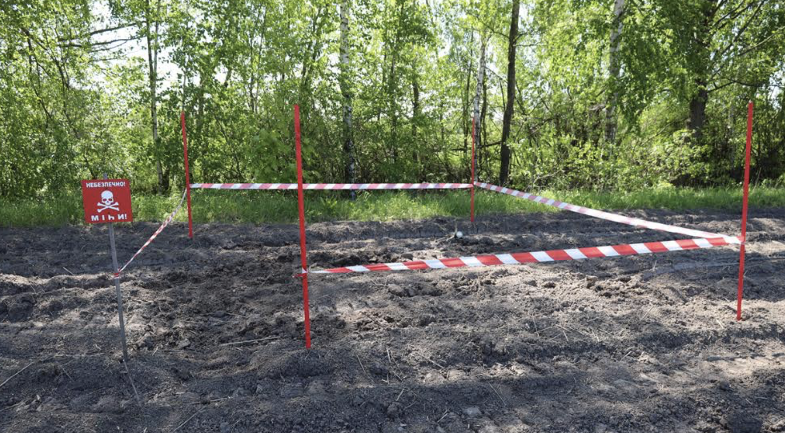 Виїзди на пожежі, розмінування та порятунок тварини: ДСНСники показали як працювали протягом тижня