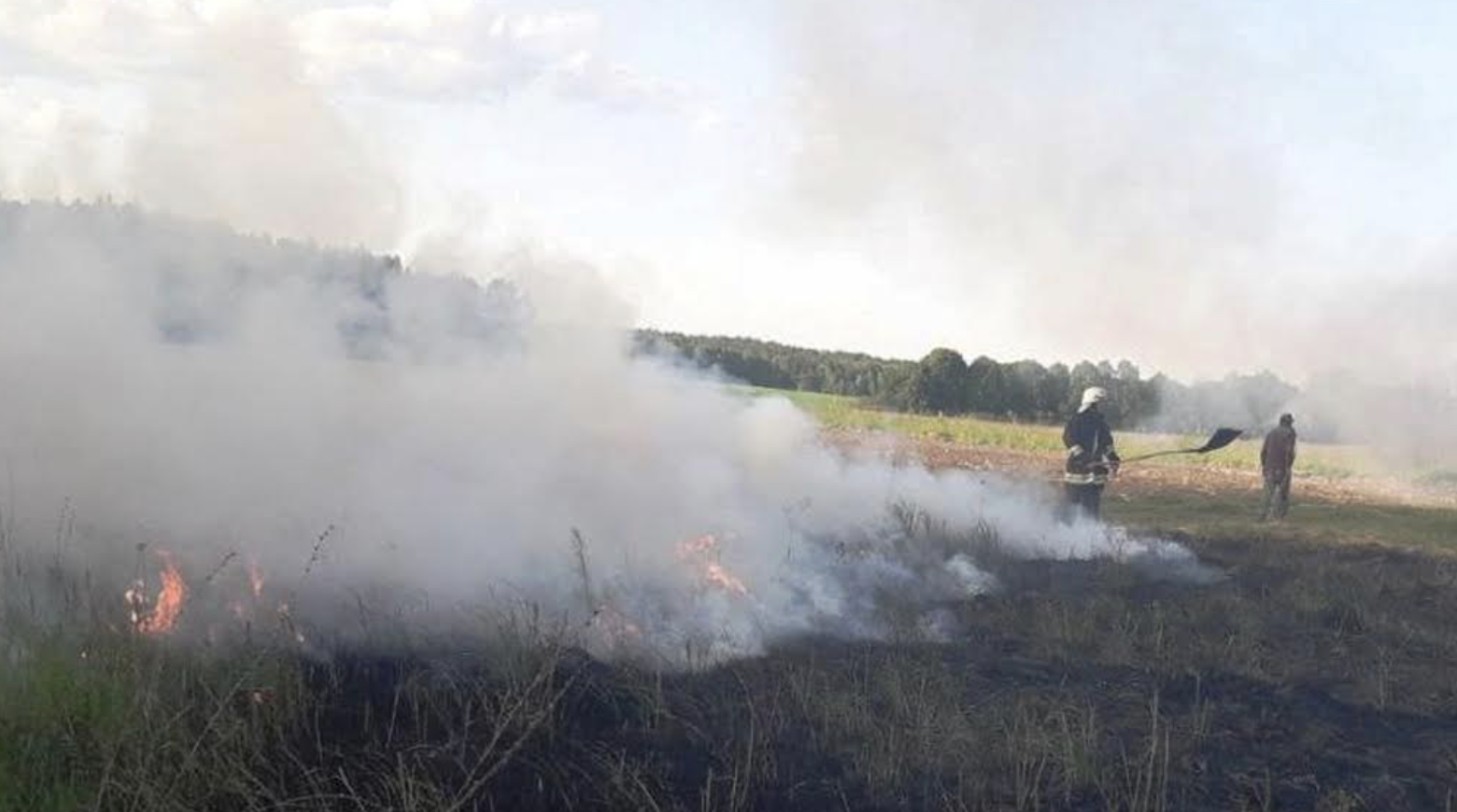 Виїзди на пожежі, розмінування та порятунок тварини: ДСНСники показали як працювали протягом тижня