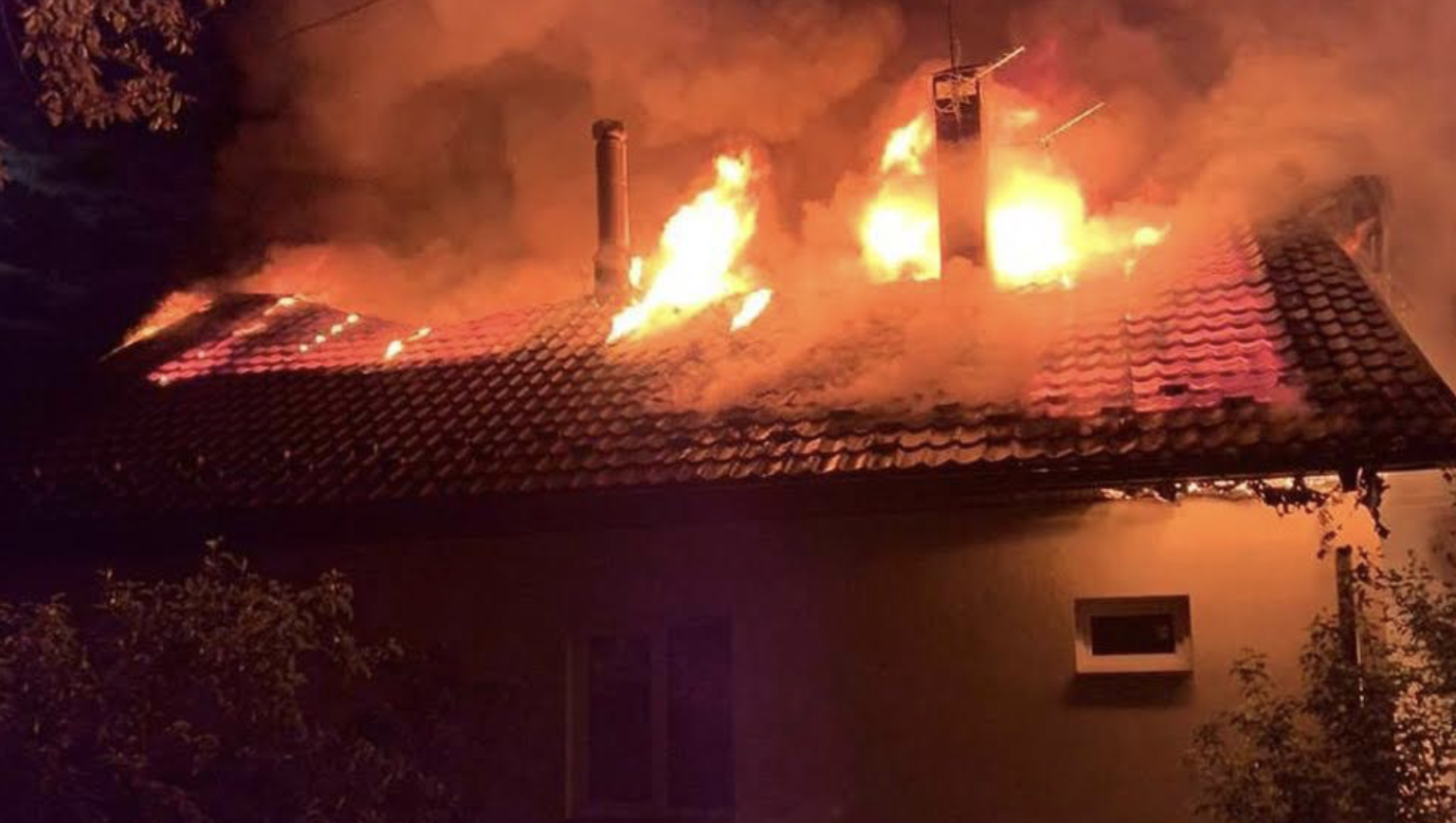 Виїзди на пожежі, розмінування та порятунок тварини: ДСНСники показали як працювали протягом тижня