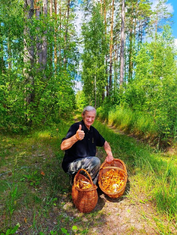 Грибники Чернігівщини полюють за лисичками та діляться світлинами 