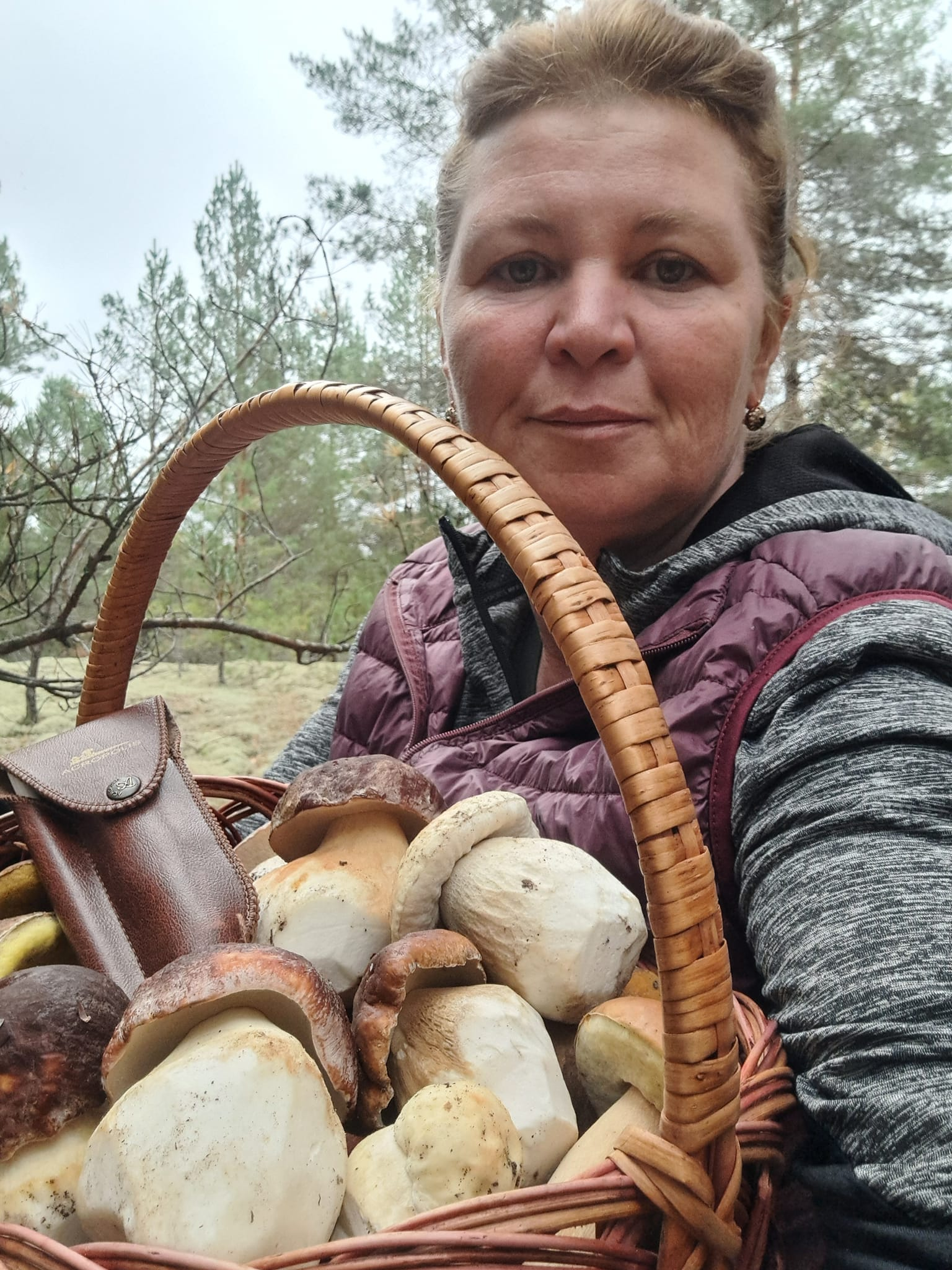 На Чернігівщині гриби є, але не всюди