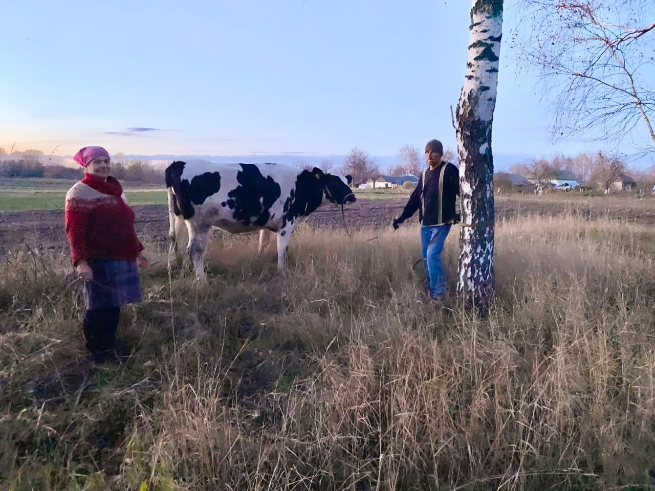 Родина з Прилуччини отримала подарунок - племінного нетеля 