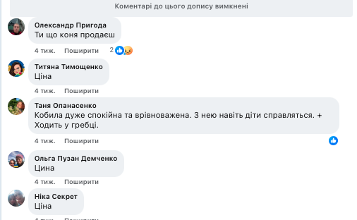 Продав кобилу без карети