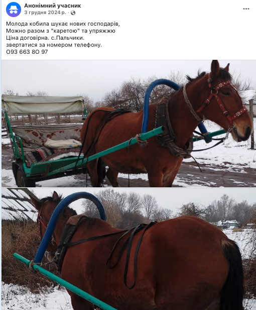 Продав кобилу без карети