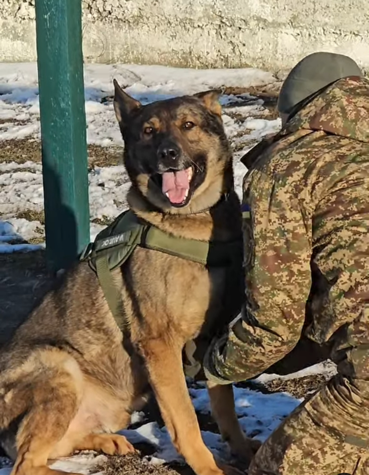 Collar підтримали Чернігівський кінологічний центр Нацгвардії України