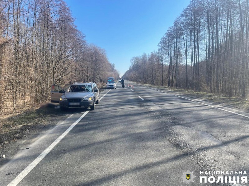 На Чернігівщині автівка збила косулю - загинула пасажирка