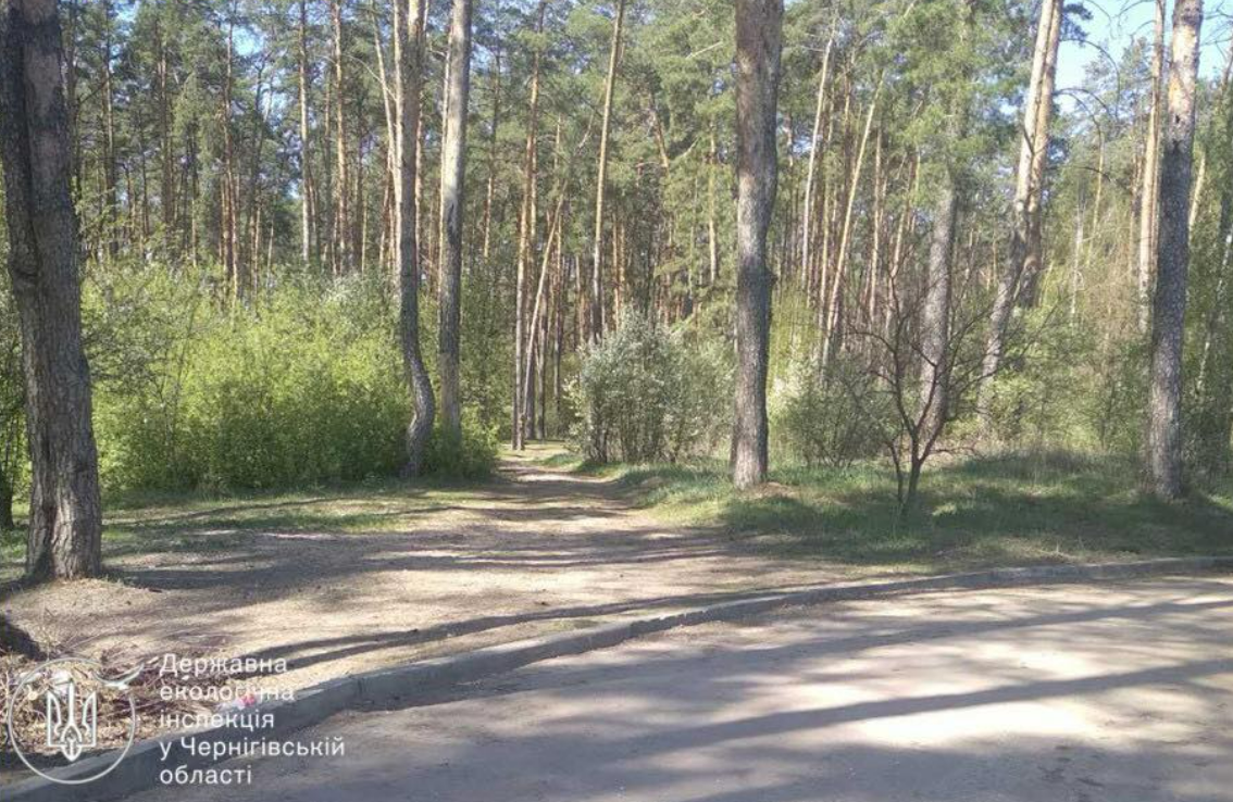 У Чернігові виявили стихійне сміттєзвалище. Прибирали... лісівники 