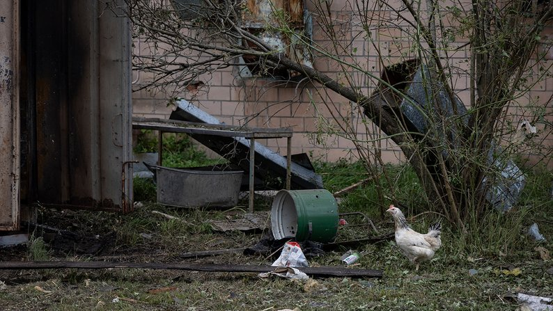 Як почуває себе господарство, що постраждало внаслідок ракетного удару по Чернігову
