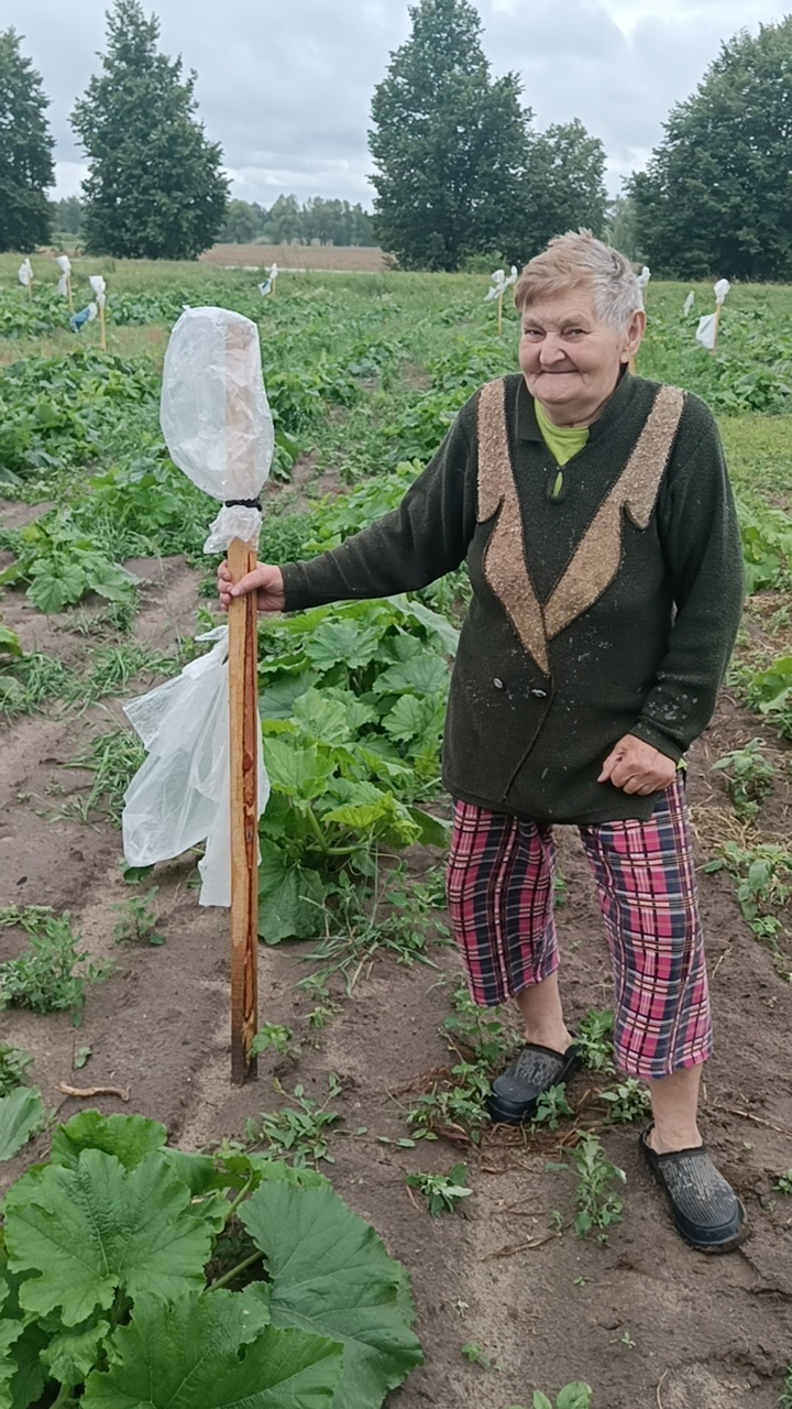 Любовь Красій з палицею, на якій пакети, щоб ворон відлякувати