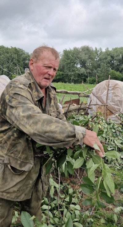 Володимир Кувшинов складає гілки в оберемки. Ними топитимуть грубку
