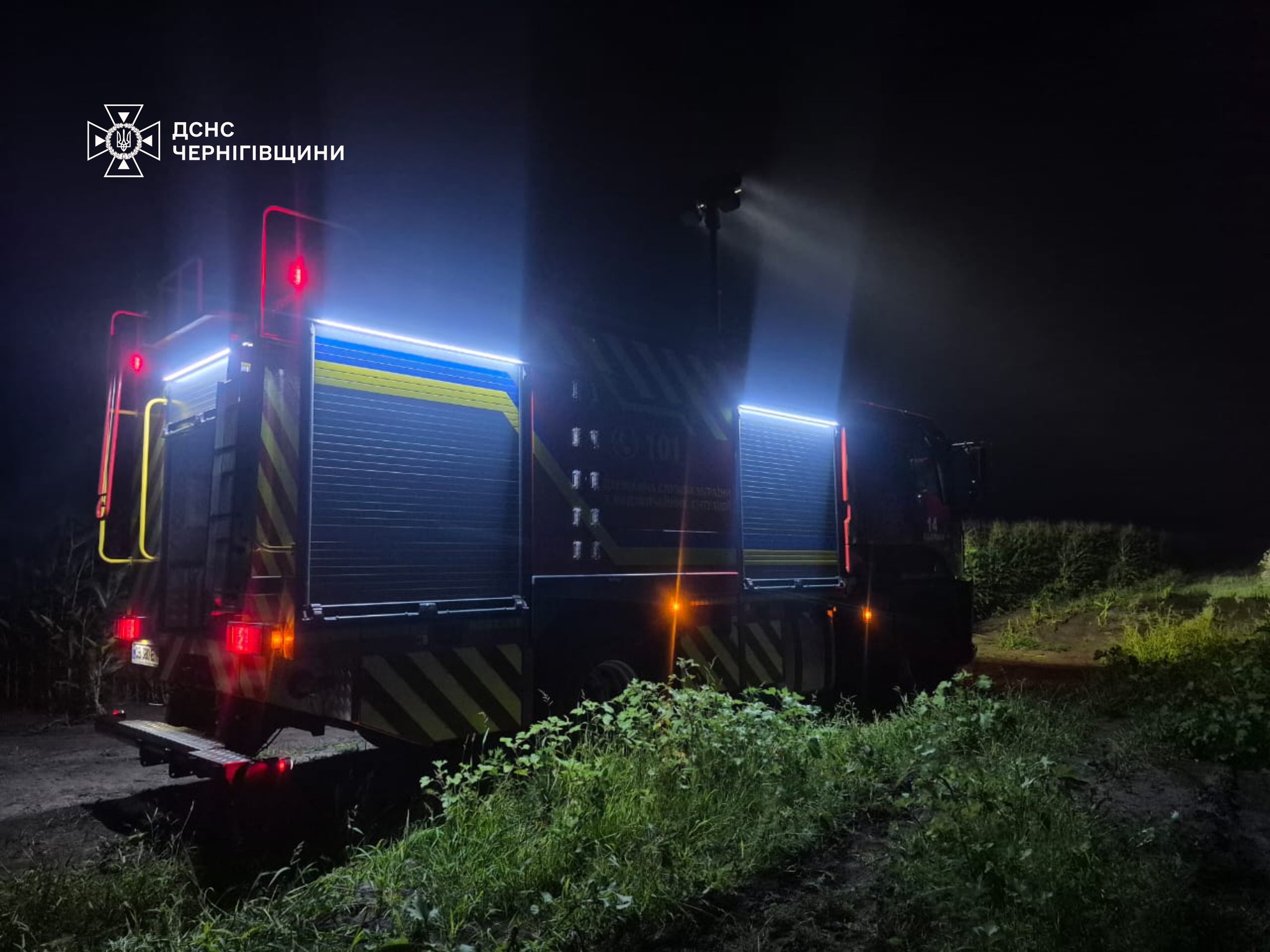 На Чернігівщині зникли двоє малюків — знайшли посеред ночі в кукурудзяному полі
