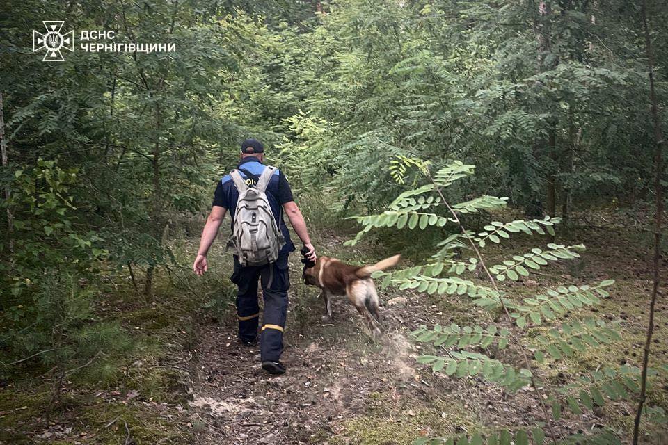 На Чернігівщині за добу вигоріло майже 4 гектари сухої трави