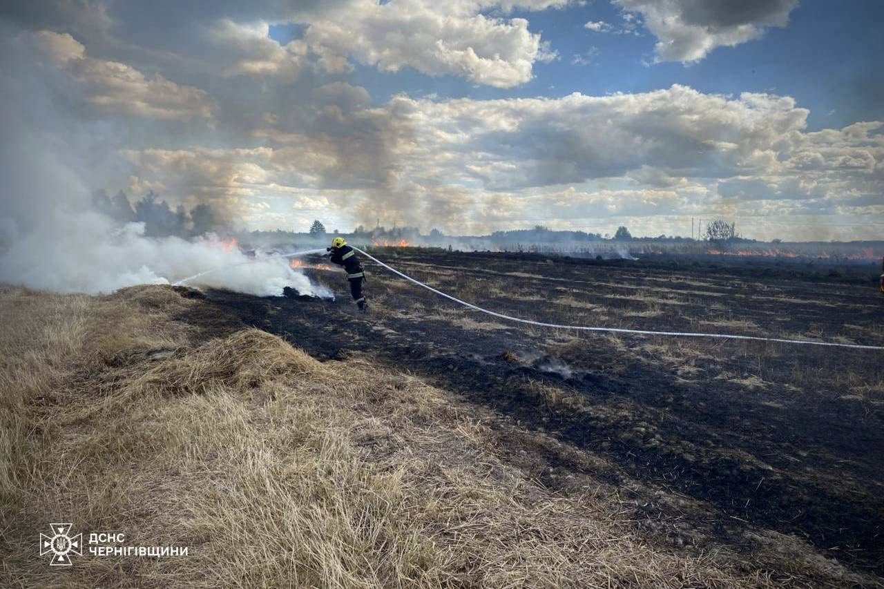 На Чернігівщині за добу вигоріло майже 4 гектари сухої трави