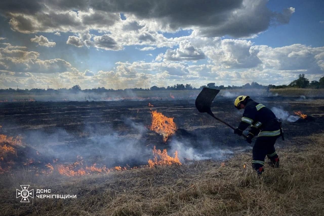 На Чернігівщині за добу вигоріло майже 4 гектари сухої трави