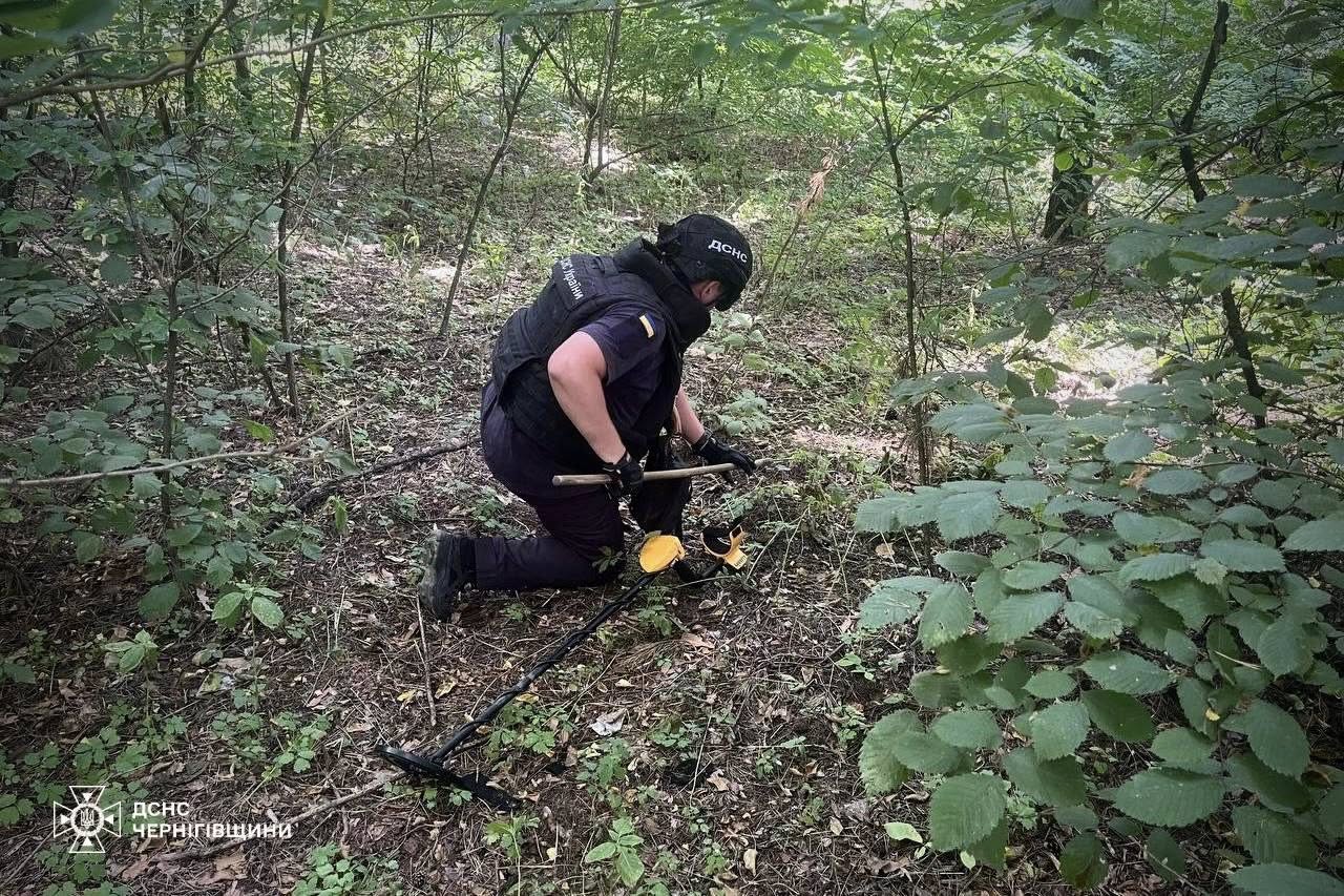 На Чернігівщині за добу вигоріло майже 4 гектари сухої трави