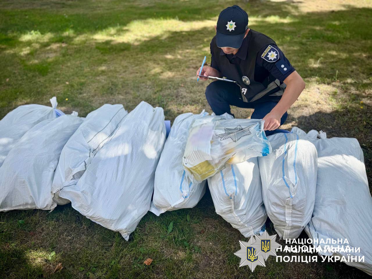 Поліція викрила корюківця на вирощуванні конопель і зберіганні боєприпасів