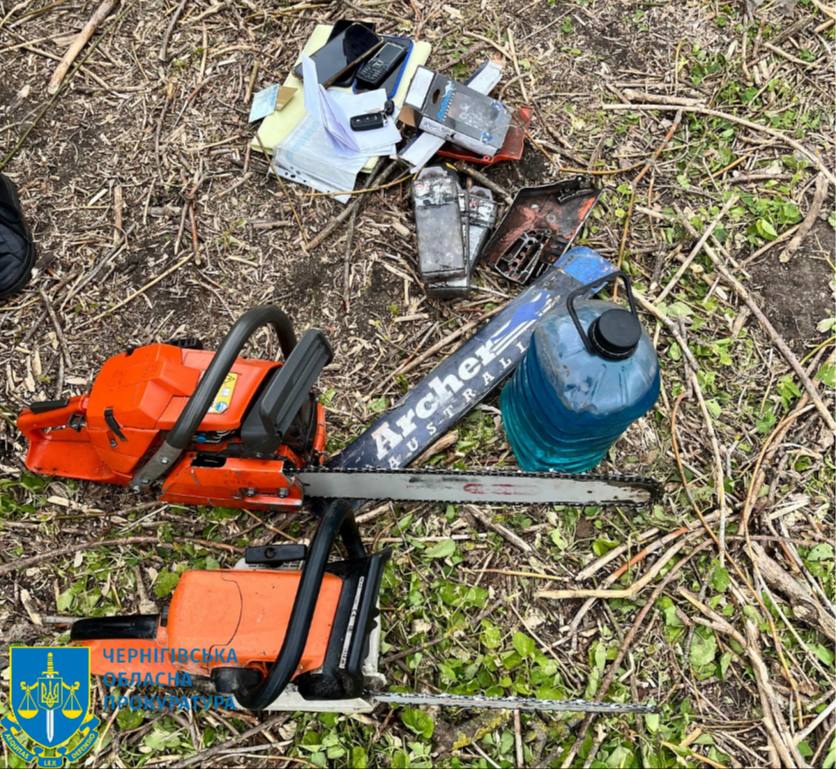 На Чернігівщині «чорні» лісоруби завдали збитків на понад 4,4 мільйона гривень