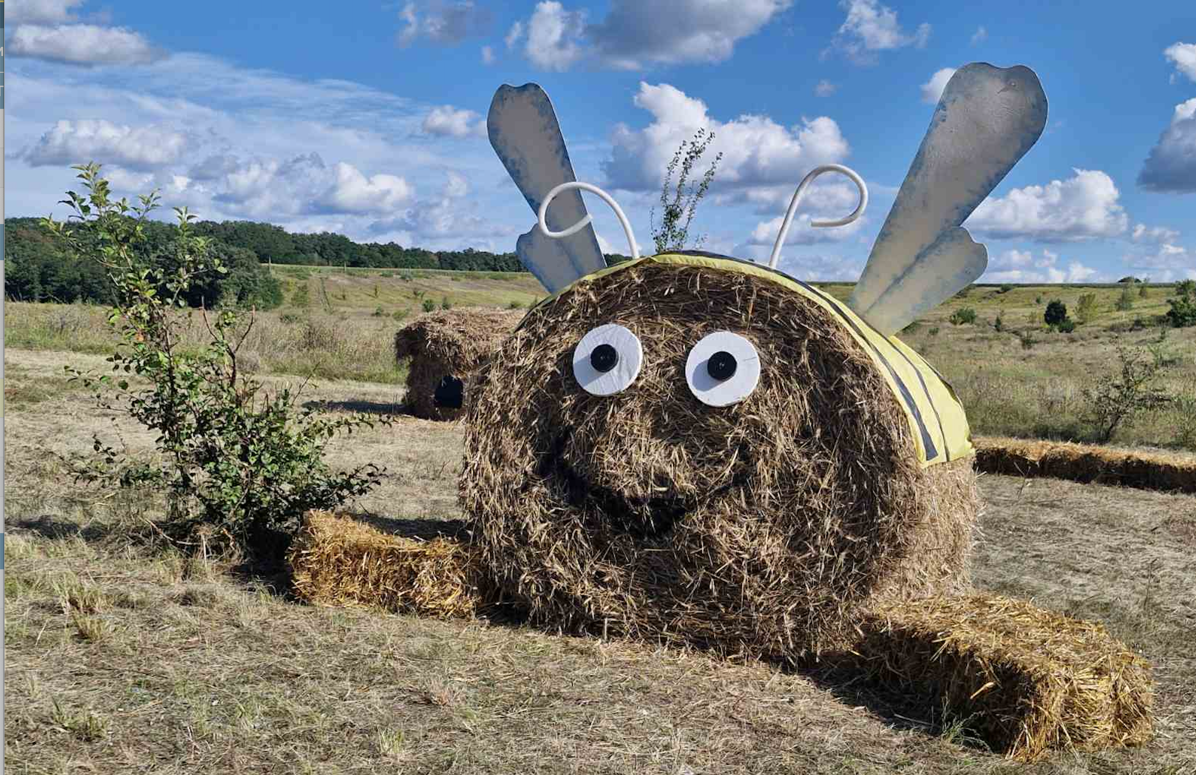 Бджілка біля села Манжосівка