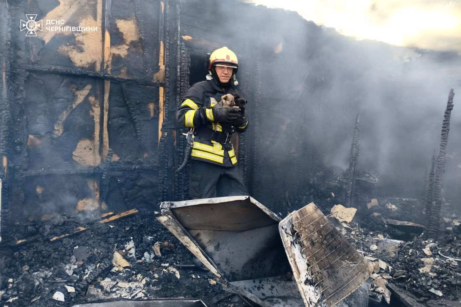На Чернігівщині рятувальники під час гасіння пожежі врятували трьох цуценят
