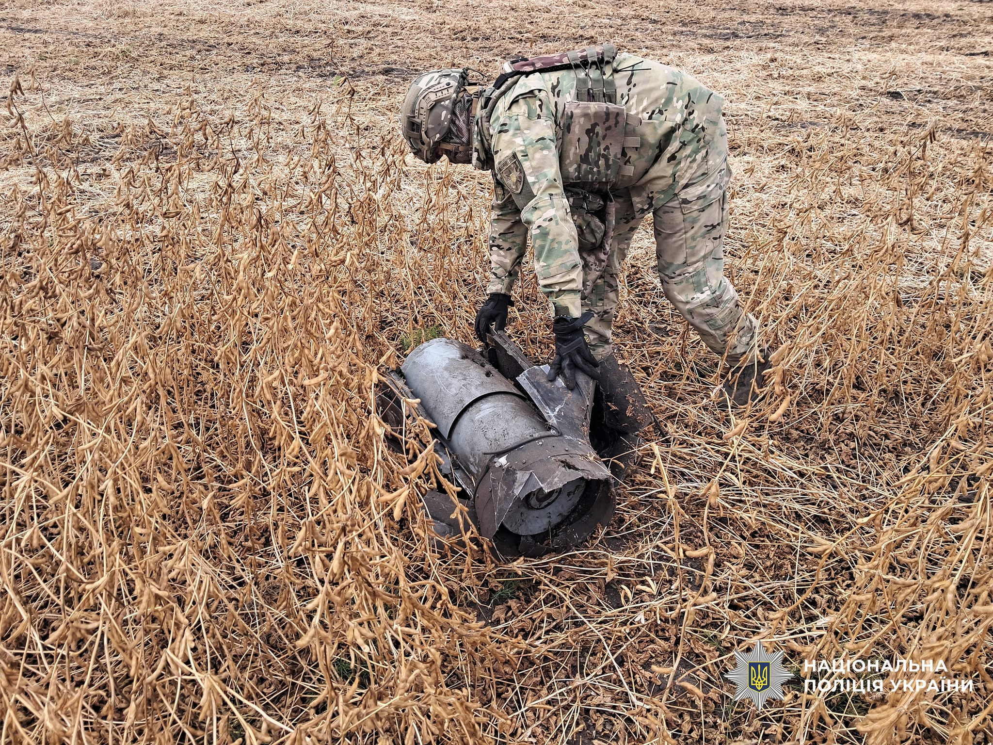 Вибухотехніки Чернігівщини знешкодили залишки ворожих ударних дронів