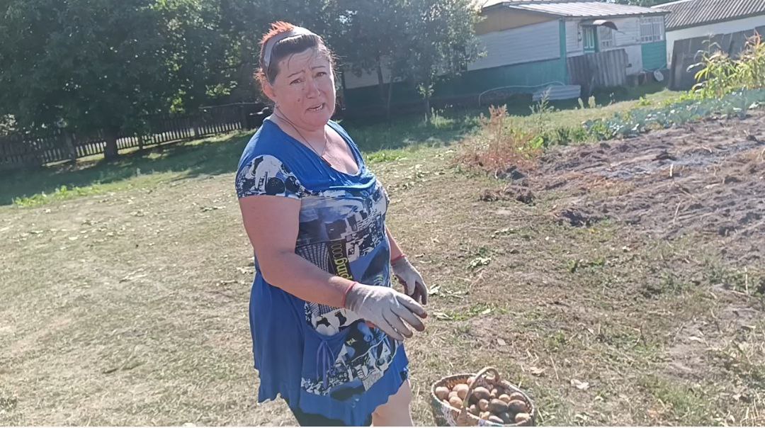 Олена ТОВСТОП’ЯТА, Вертіївка