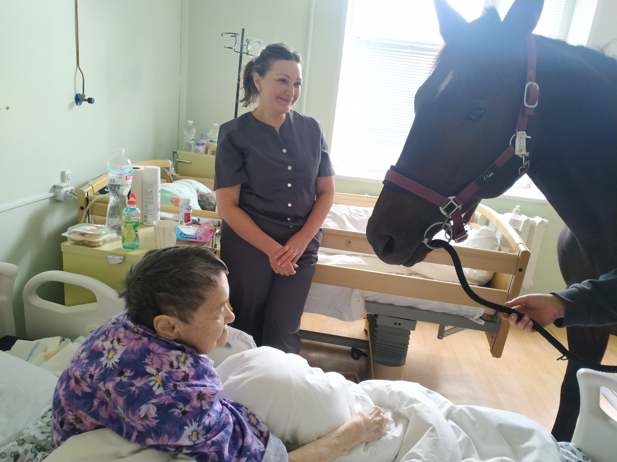 Співачка Камалія привела в лікарню... коня 