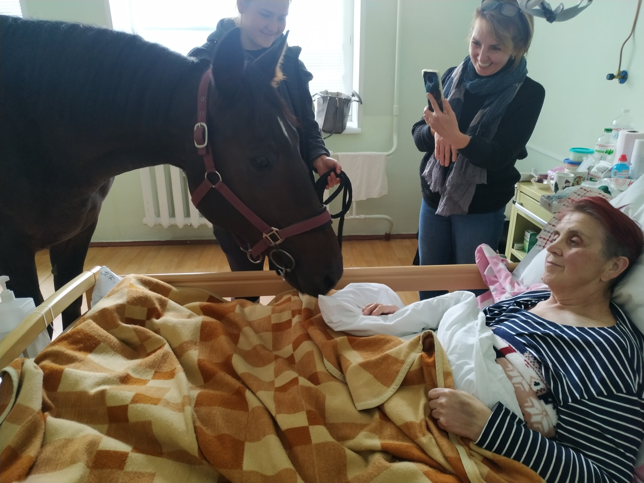 Співачка Камалія привела в лікарню... коня 