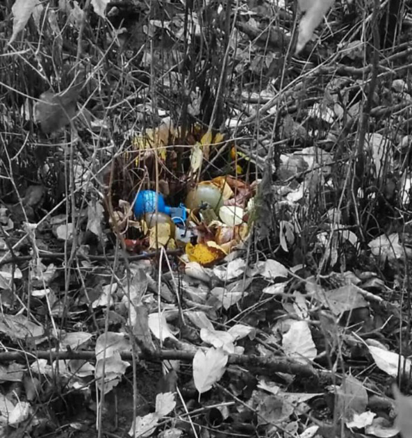 На Чернігівщині енергетики біля залізниці знайшли три гранати