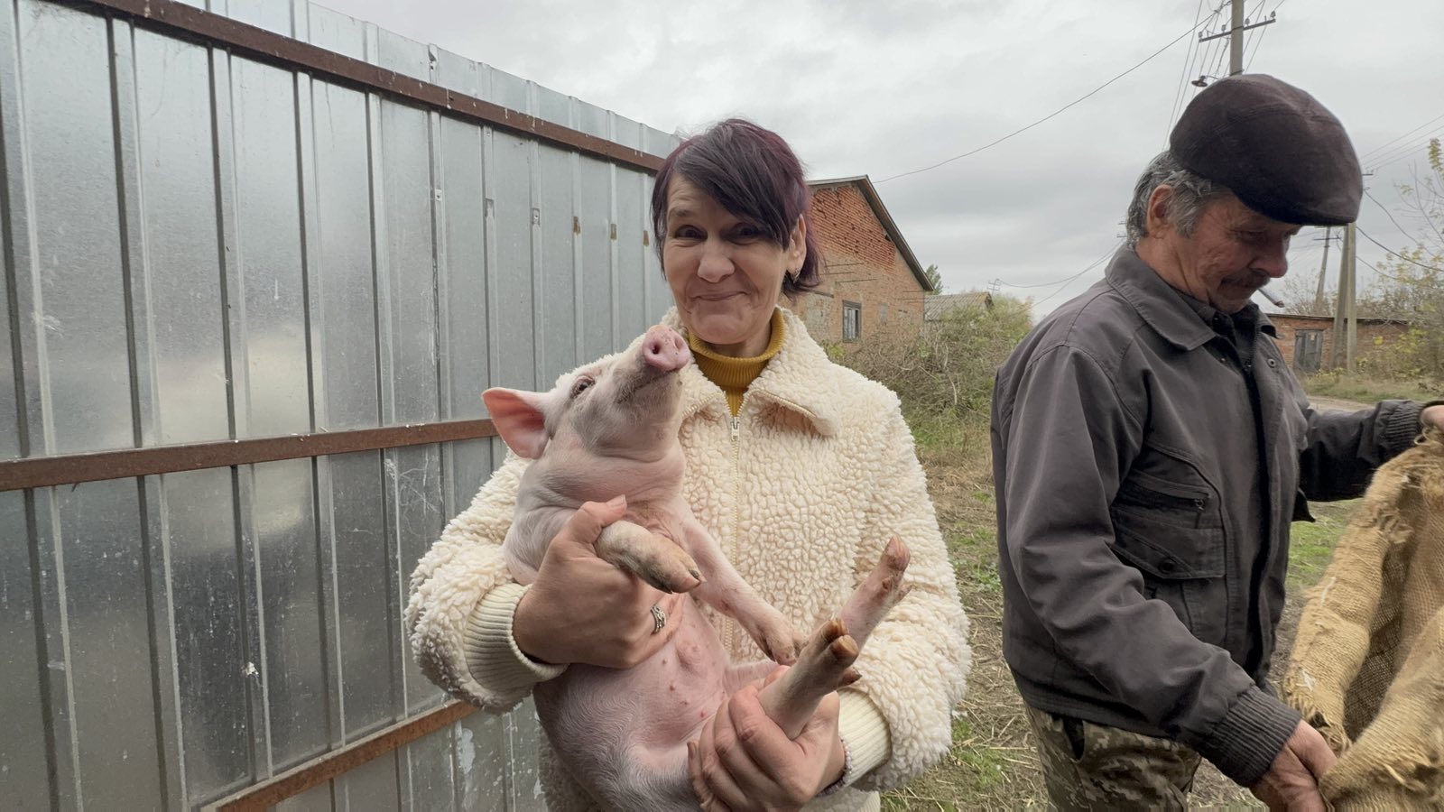 Інна Лисенко та Микола Коноваленко забирають додому малих кабанчиків