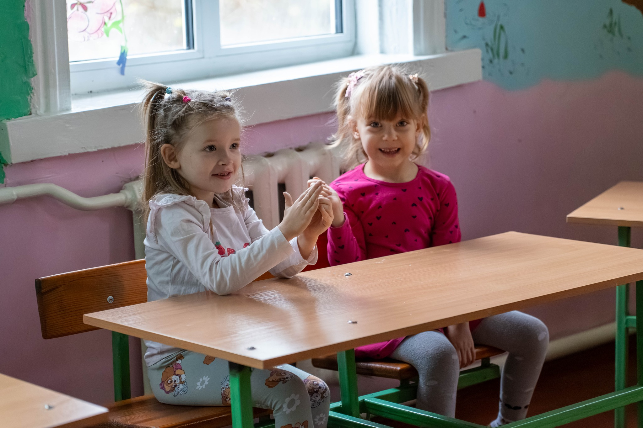 Нові генератори, котельня та ремонт: як функціонують важливі об'єкти в селі на Чернігівщині