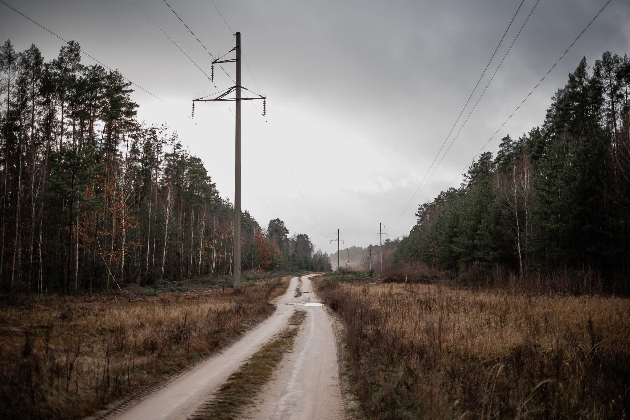 У селі на Чернігівщині залишилося три жительки