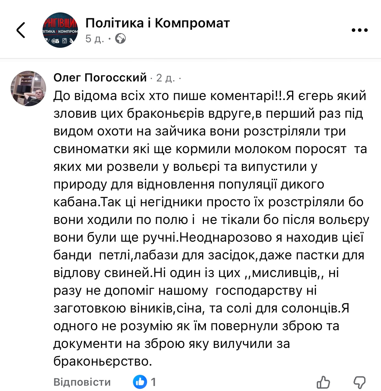 Єгер заявив про відстріл дикого кабана. У справі фігурує мисливська родина з прикордоння