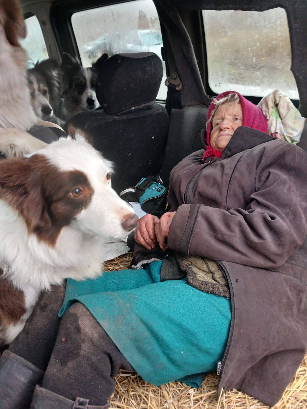 На Чернігівщині зниклу бабусю розшукала собака