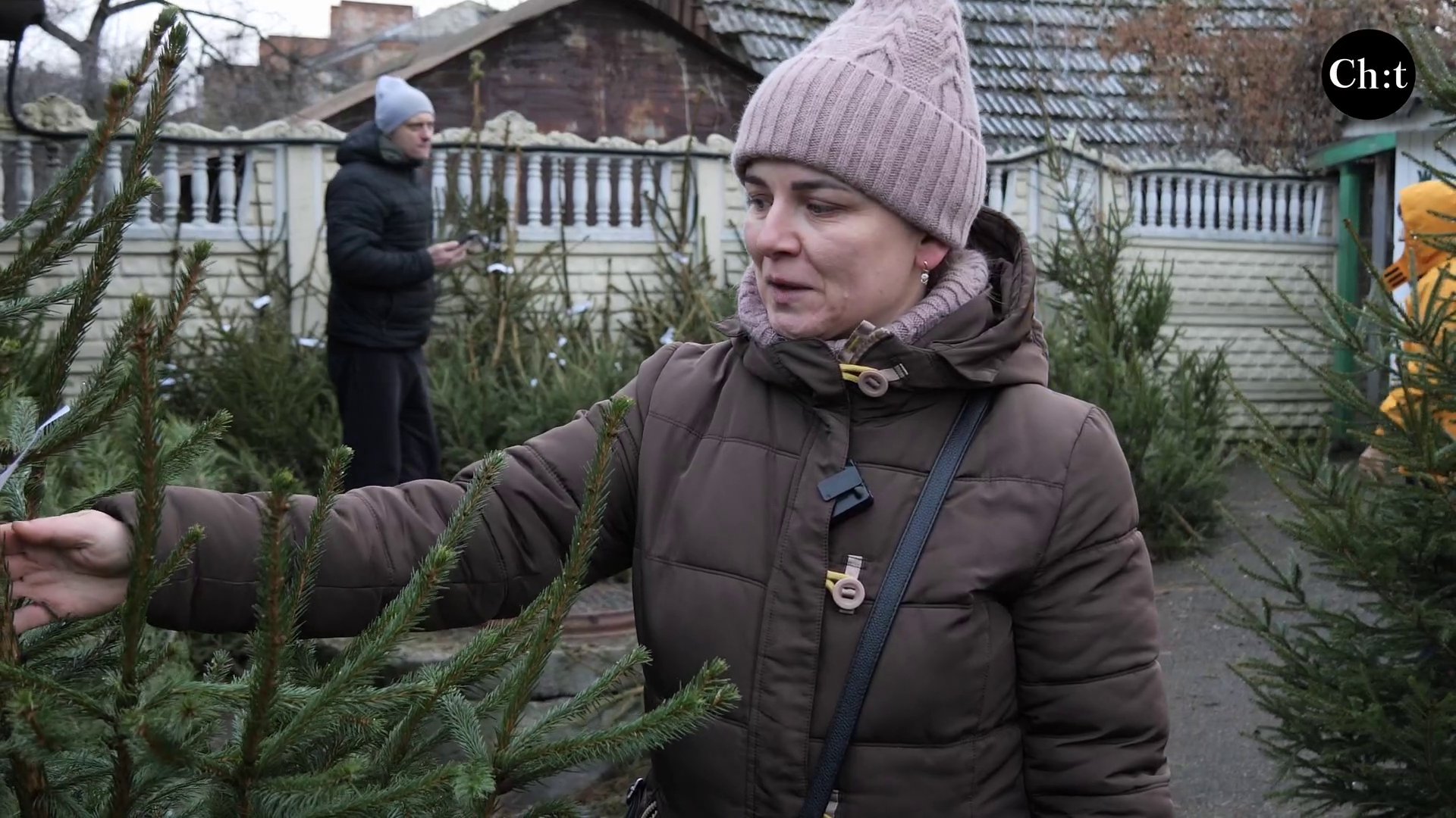 Хочеться трохи радості: чи охоче чернігівці купують новорічні дерева
