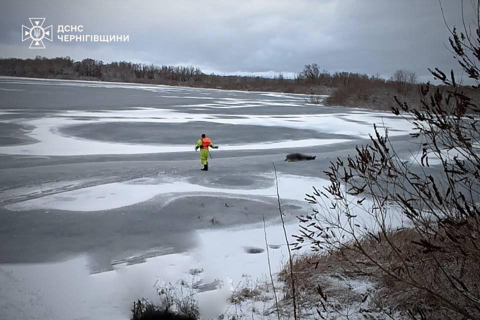 Поблизу Чернігова чоловік провалився під лід. ФОТО