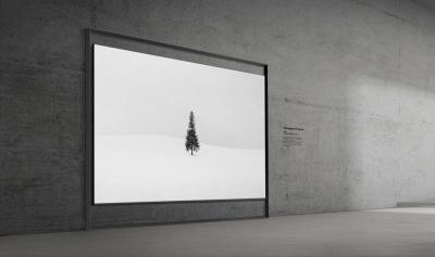 CES 2026: Samsung дебютує з 130-дюймовим телевізором Micro RGB та сміливим дизайном нового покоління