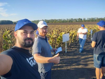 Брати Синенки. Фермери шукають пайовиків у соцмережах: скільки платять за гектар