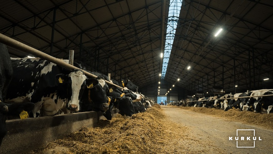 Чернігівська ферма працює з телефону 