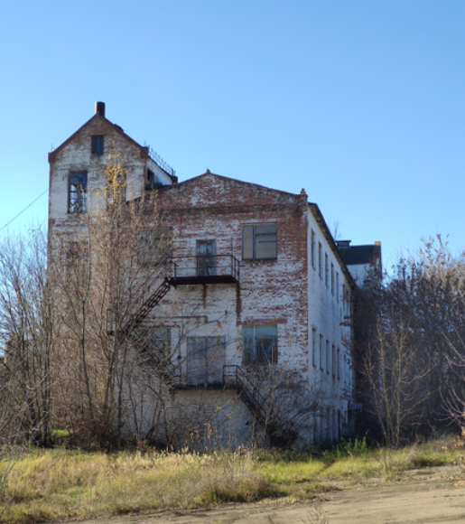 Зі ставком, свердловиною та котельнею: з молотка піде спиртзавод у прикордонні Чернігівщини