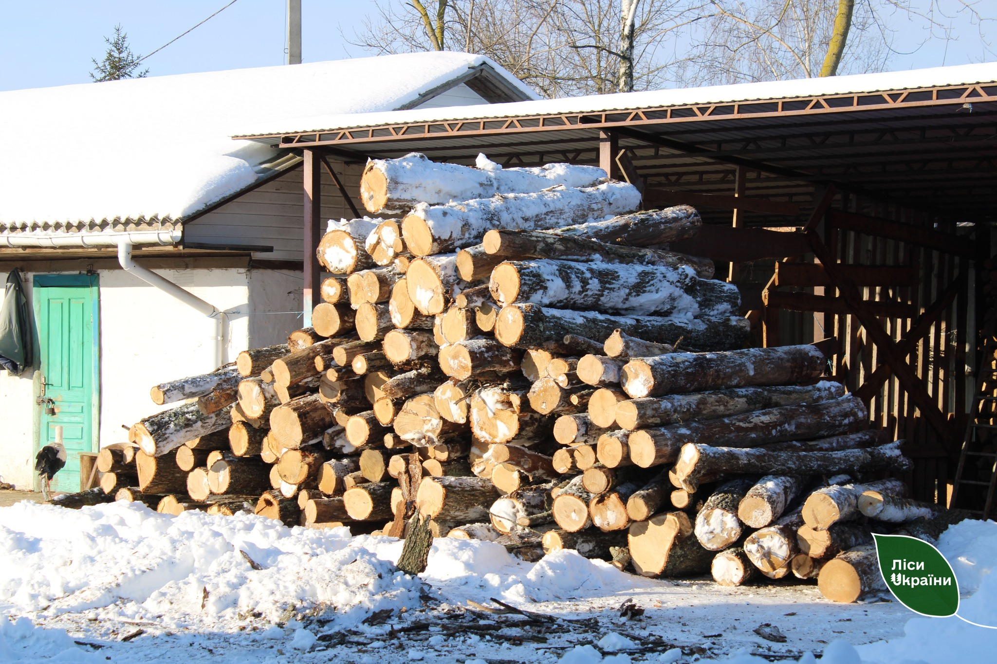Лісівники допомогли зоопарку на Чернігівщині 