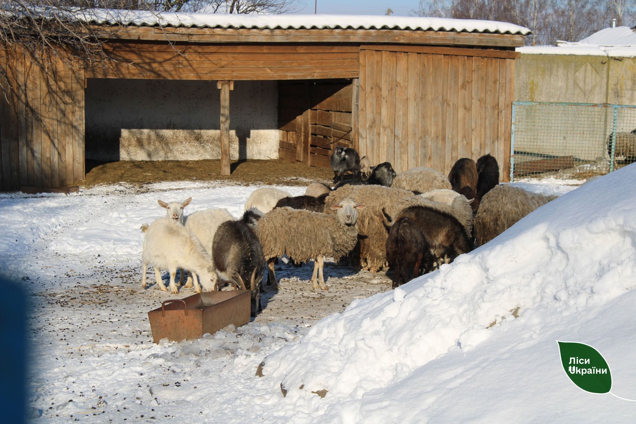 Лісівники допомогли зоопарку на Чернігівщині 