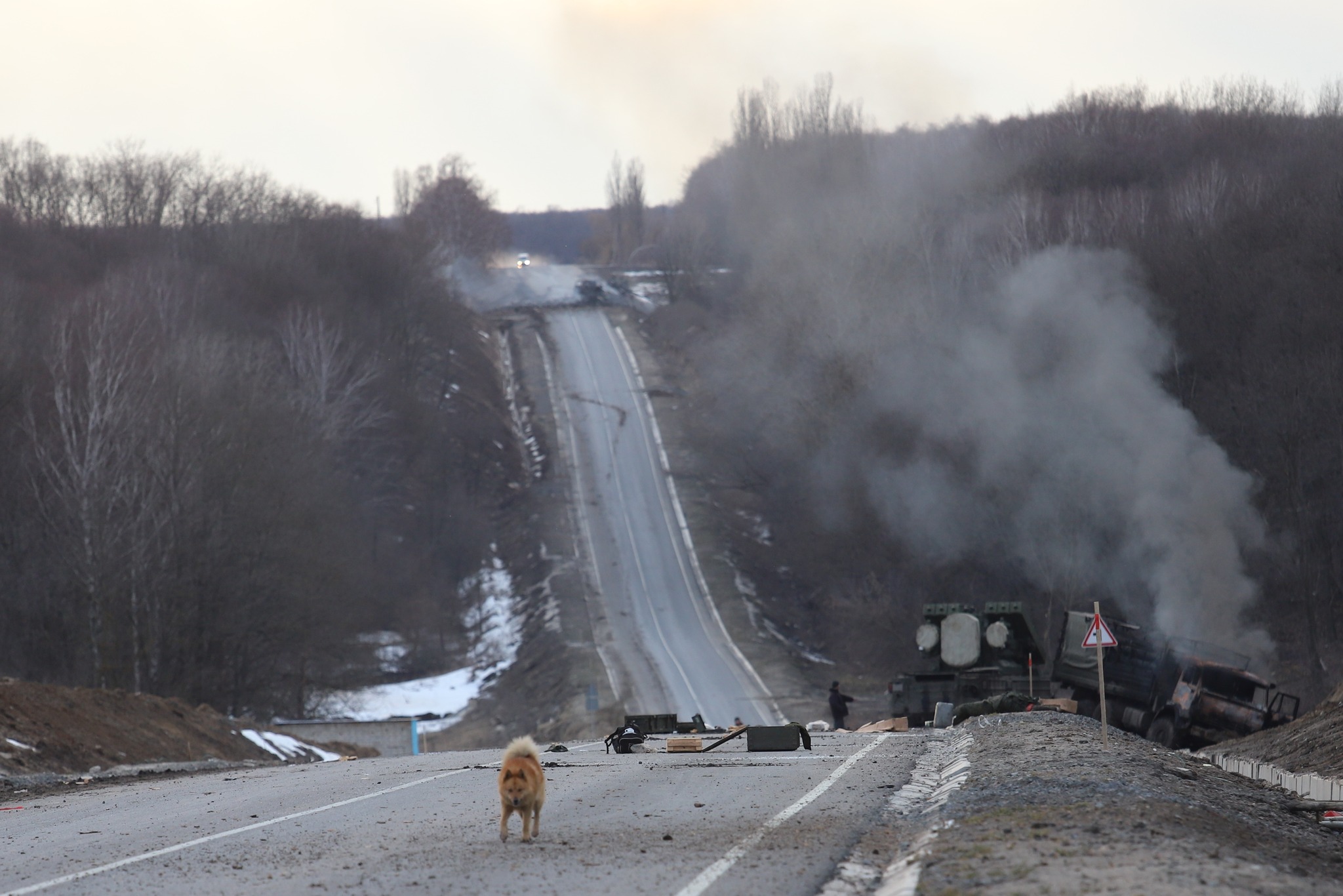 Розгром колони росіян 27 лютого 2022 року поблизу Срібного, Чернігівщина