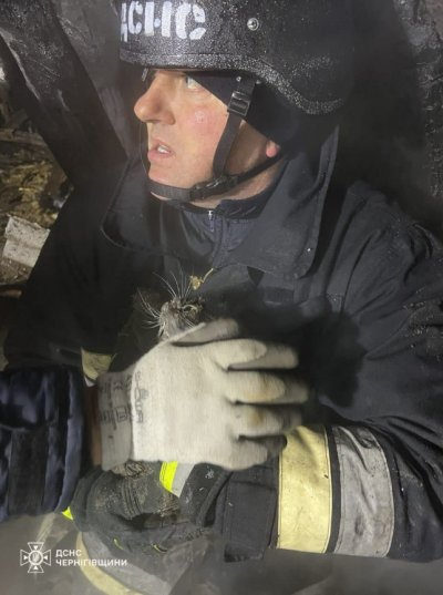 «Герані» вдарили по селу на Чернігівщині: горіли будинки, під завалами знайшли кота