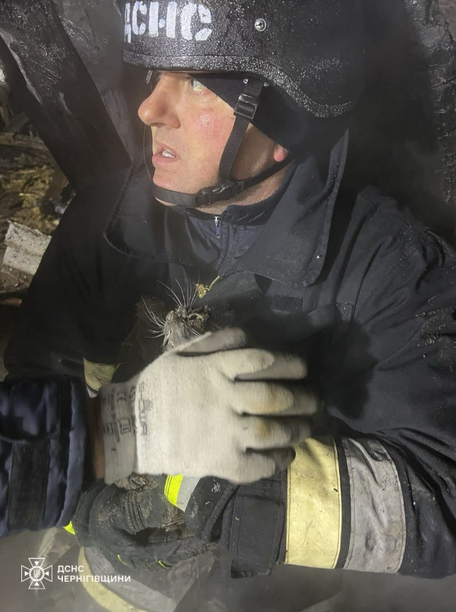 «Герані» вдарили по селу на Чернігівщині: горіли будинки, під завалами знайшли кота