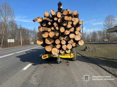 На Чернігівщині легковик вʼїхав у причеп із колодами